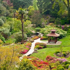 Powerscourt japanese garden